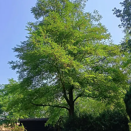 Cascina Rocchino
